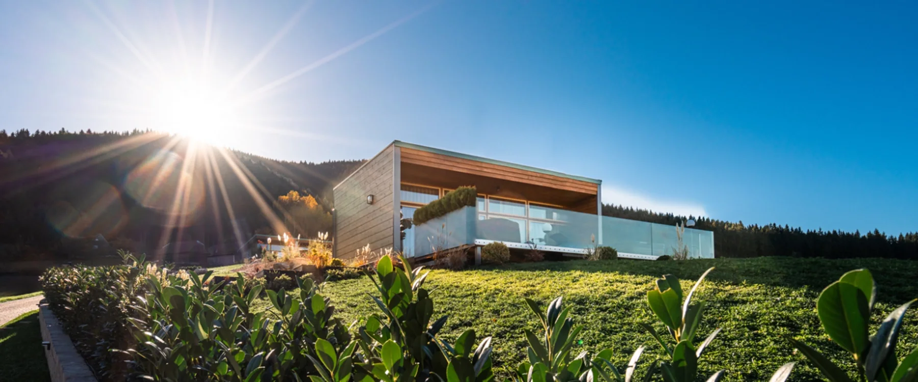 Glass-fronted Eden Hill villa on a grassy slope in low sunlight.