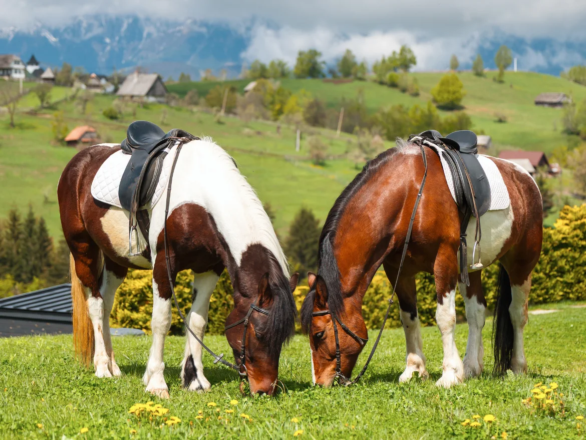Two saddled horses grazing on a grassy hillside above the village, with mountains beyond.