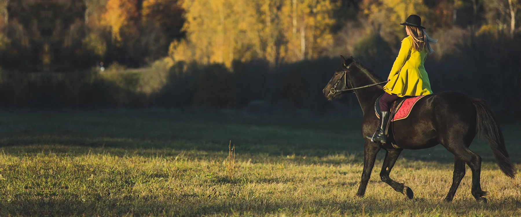 Rider in a yellow cape on a dark horse in a meadow beside an autumn forest.