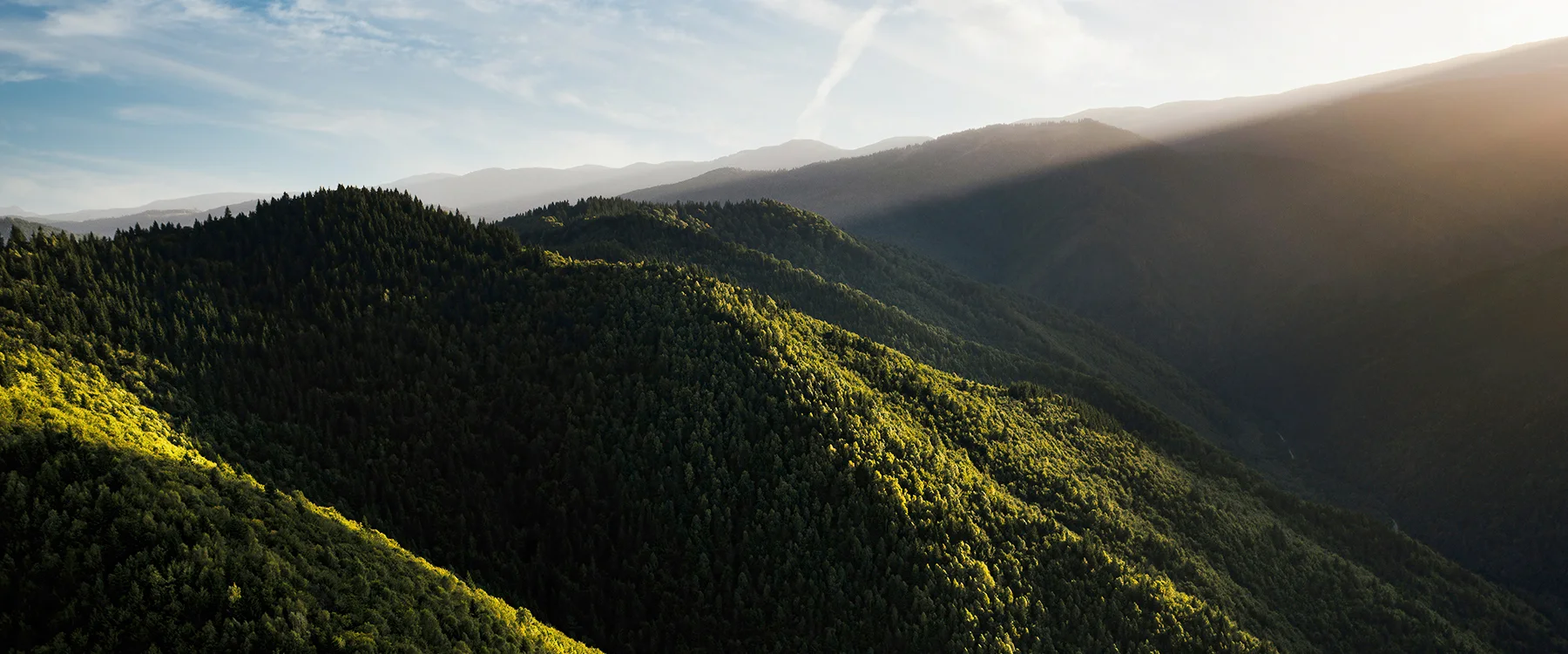 Culmi acoperite de pădure, luminate de razele soarelui coborât spre orizont.