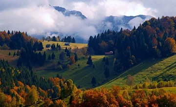 Mountain meadows and autumn forests, with clouds and mist between the peaks.