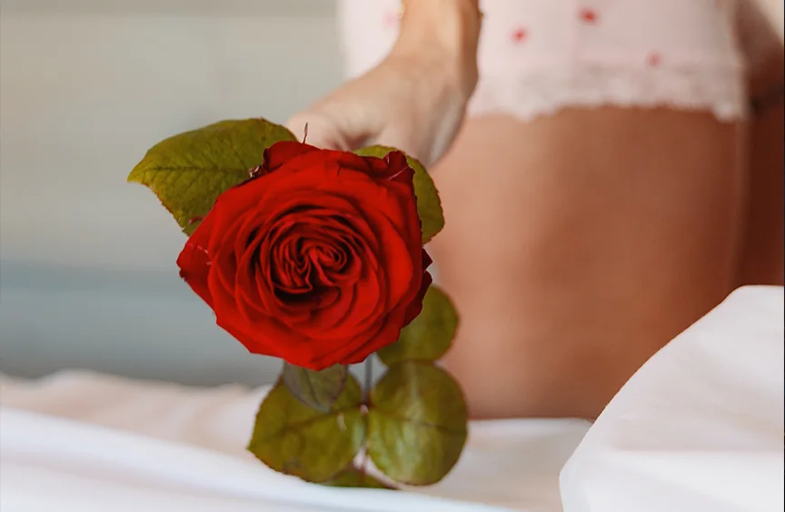 Red rose held above white bed linen.