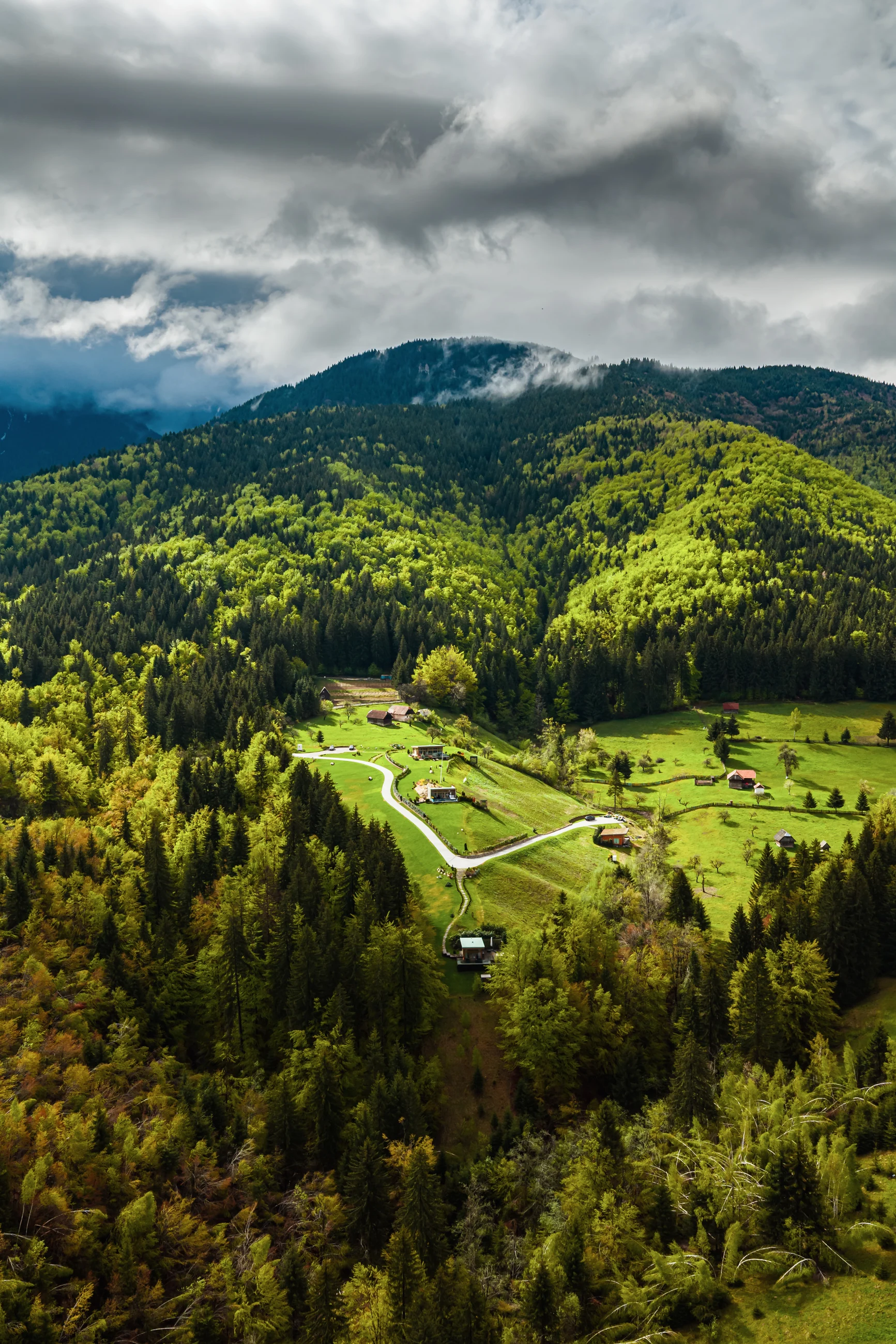Vilele Eden Hill într-o vale verde înconjurată de pădure, văzute din aer sub nori joși.